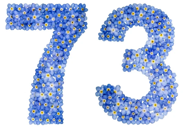 Arabic numeral 73, seventy three, from blue forget-me-not flower — Stock Photo, Image