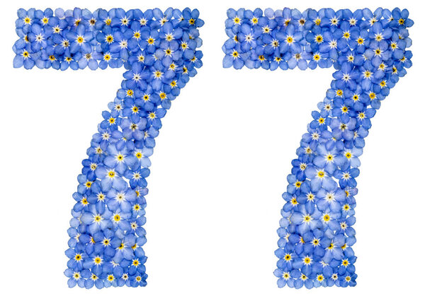 Arabic numeral 77, seventy seven, from blue forget-me-not flower