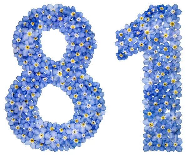 Arabic numeral 81, eighty one, from blue forget-me-not flowers — Stock Photo, Image
