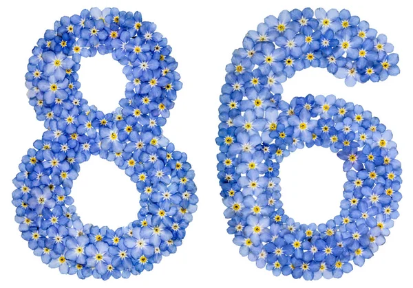Arab szám 86, nyolcvan hat, kék Nefelejcs virág — Stock Fotó