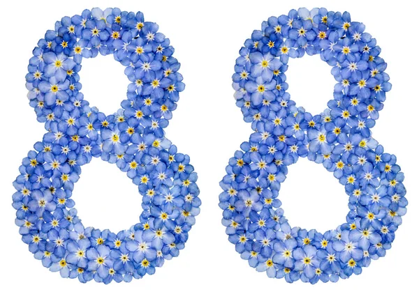 Arapça rakamı 88, seksen sekiz, mavi unutma çiçek üzerinden — Stok fotoğraf