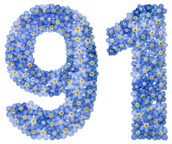 Arabische Ziffer 91, einundneunzig, aus blauen Vergissmeinnicht-Blumen — Stockfoto