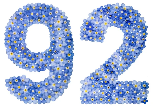 Arapça rakamı 92, mavi unutma çiçek üzerinden doksan iki — Stok fotoğraf