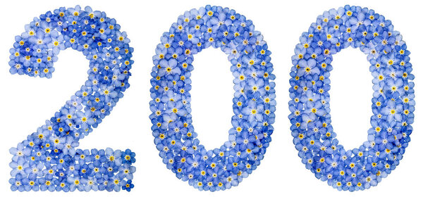 Арабская цифра 200, 200, из голубых цветов "Забудка"
