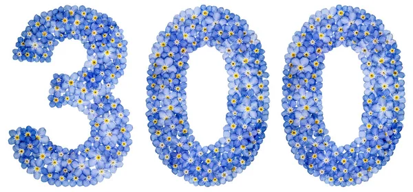 Número arábigo 300, trescientos, de azul olvídame-no flowe — Foto de Stock