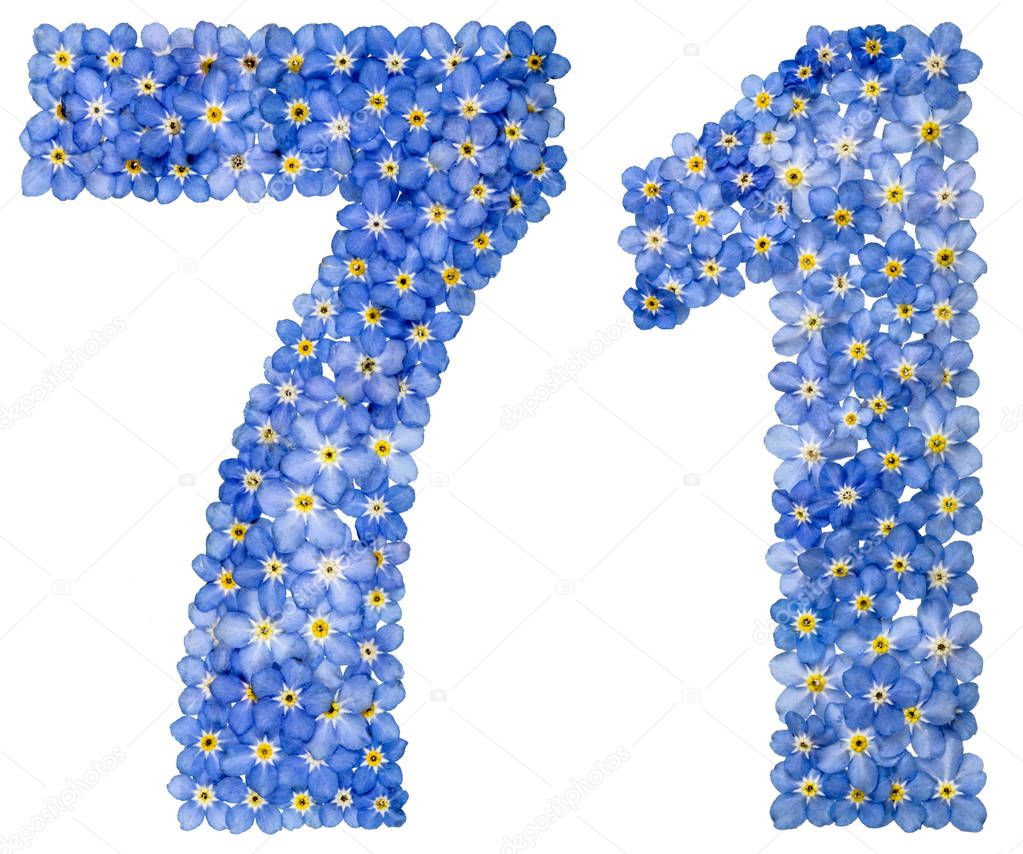 Arabic numeral 71, seventy one, from blue forget-me-not flowers