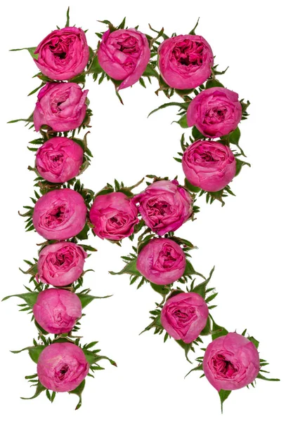 Буква R алфавит из цветов роз, изолированных на белом фоне — стоковое фото