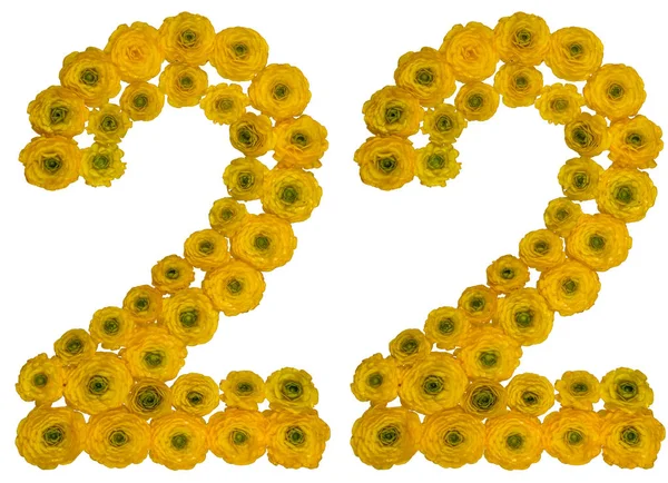 Cyfry arabskie 22, dwadzieścia dwa, z żółtych kwiatów Jaskier, — Zdjęcie stockowe