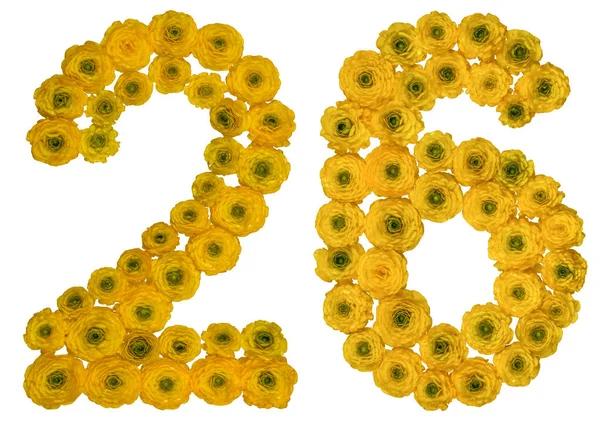 Arabic numeral 26, twenty six, from yellow flowers of buttercup, — Stock Photo, Image