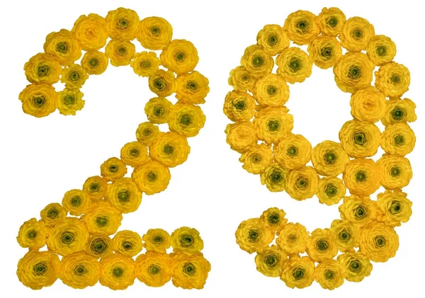 Arabic numeral 29, twenty nine, from yellow flowers of buttercup — Stock Photo, Image