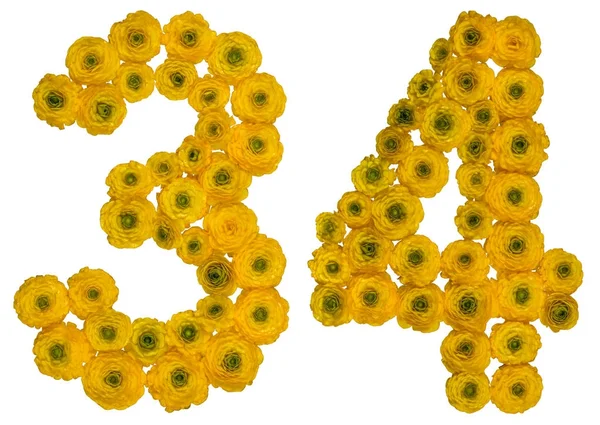 Arab szám 34, harminc-négy, a buttercup sárga virágok — Stock Fotó