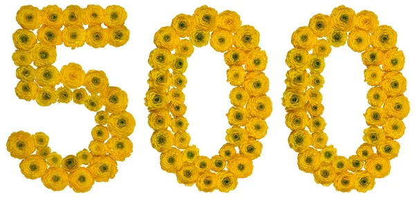 Numeral arábico 500, quinhentos, de flores amarelas de butterc — Fotografia de Stock