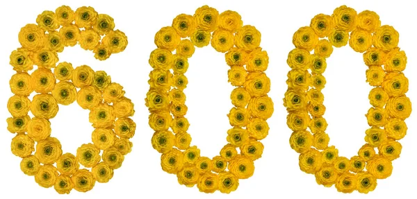 Arabic numeral 600, six hundred, from yellow flowers of buttercu — Stock Photo, Image