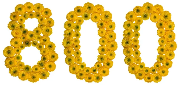 Número arábico 800, 800, de flores amarelas de manteiga — Fotografia de Stock