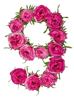 Arapça rakamı 9, dokuz, gül, kırmızı çiçekler dan izole wh