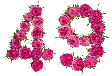 Arapça rakamı 49, kırk dokuz, gül, kırmızı çiçekler dan izole