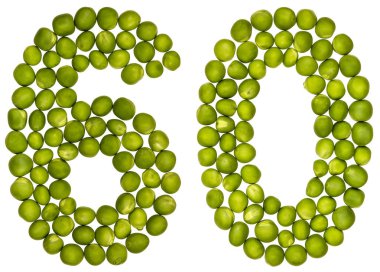 Arapça rakamı 60, 60, yeşil bezelye, üzerinde beyaz bac izole dan