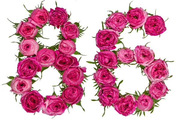 Арабская цифра 86, восемьдесят шесть, из красных цветов розы, изолировать — стоковое фото