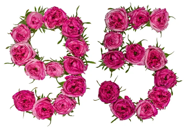 Арабская цифра 95, девяносто пять, из красных цветов розы, изолята — стоковое фото