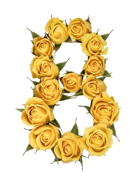 Αραβικό αριθμό 8, οκτώ, από τα κίτρινα άνθη του τριαντάφυλλου, απομονωμένη o — Φωτογραφία Αρχείου
