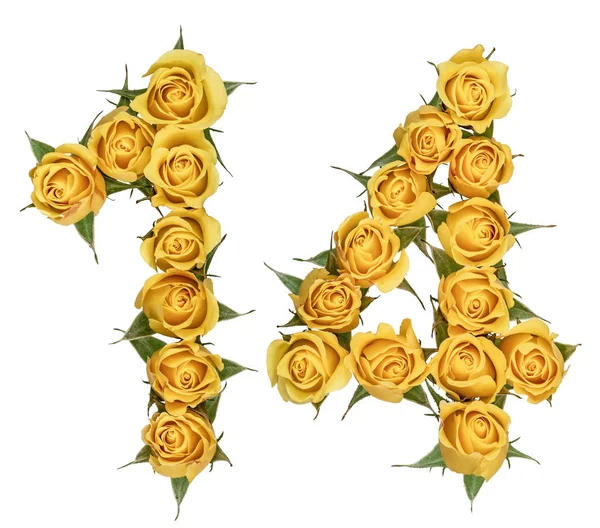 Αραβικό αριθμό 14, δεκατέσσερα, από τα κίτρινα άνθη του τριαντάφυλλου, μόνωσ — Φωτογραφία Αρχείου