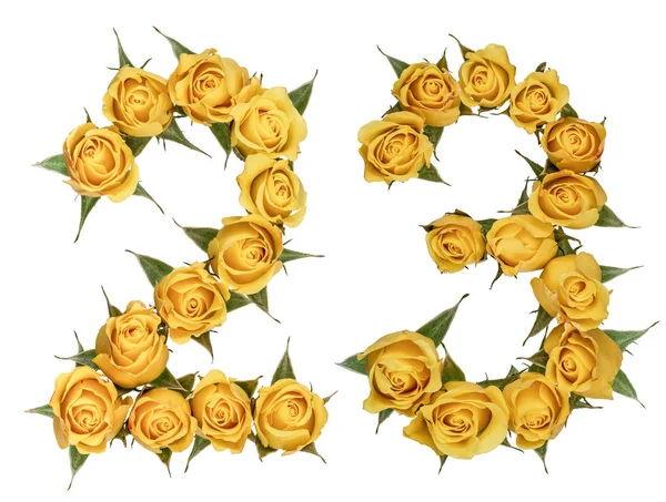 Cyfry arabskie 23, dwadzieścia trzy, z żółtych kwiatów róży, jest — Zdjęcie stockowe
