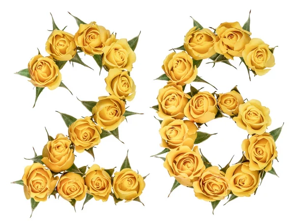 Arabic numeral 26, twenty six, from yellow flowers of rose, isol — Stock Photo, Image