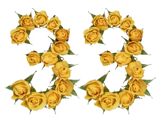阿拉伯数字 33, 三十三, 从黄色的玫瑰花, 是 — 图库照片