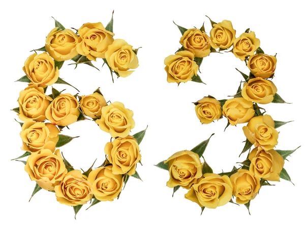Numero arabo 63, sessantatré, da fiori gialli di rosa, iso — Foto Stock