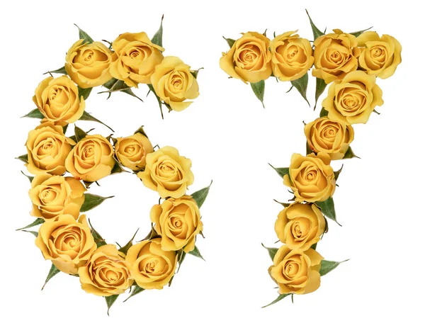 Arabisch cijfer 67, zestig zeven, van gele bloemen van roos, iso — Stockfoto