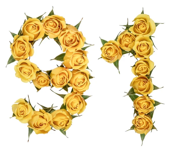 Número arábico 91, noventa e um, de flores amarelas de rosa, isol — Fotografia de Stock