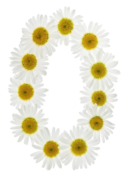 Arabic numeral 0, zero, from white flowers of chamomile, isolate — Stock Photo, Image