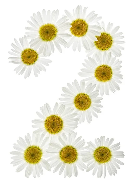 Numero arabo 2, due, da fiori bianchi di camomilla, isolati — Foto Stock
