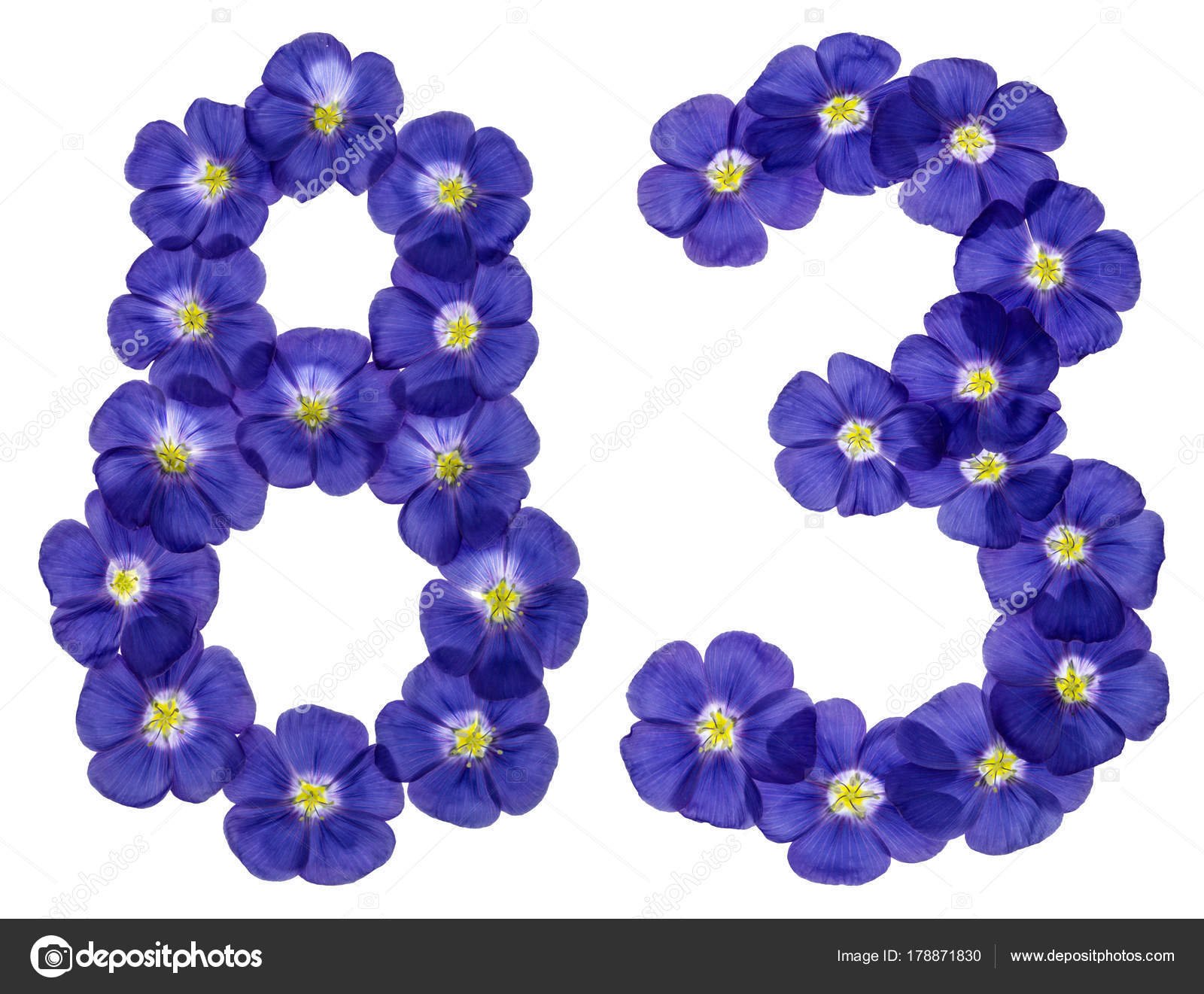 Arabic numeral 83, eighty three, from blue flowers of flax, isol — Stock