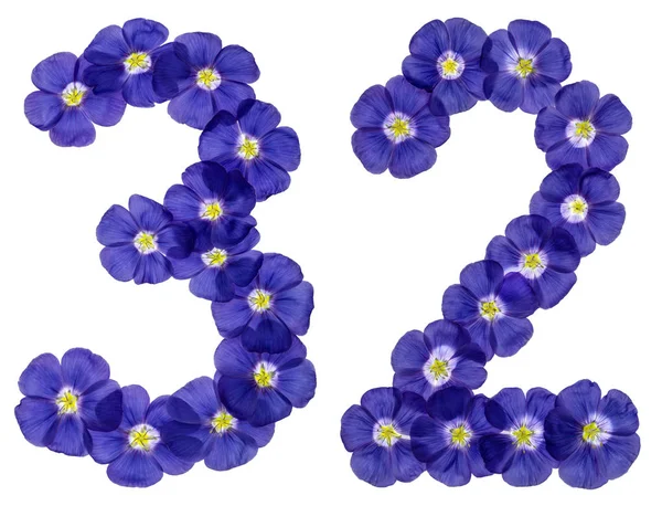 Arabic numeral 32, thirty two, from blue flowers of flax, isolat — Stock Photo, Image