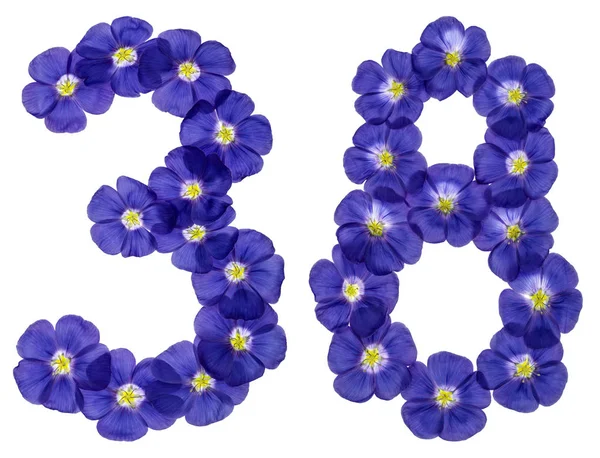 Arapça rakamı 38, otuz sekiz, keten, isol, mavi çiçekler üzerinden