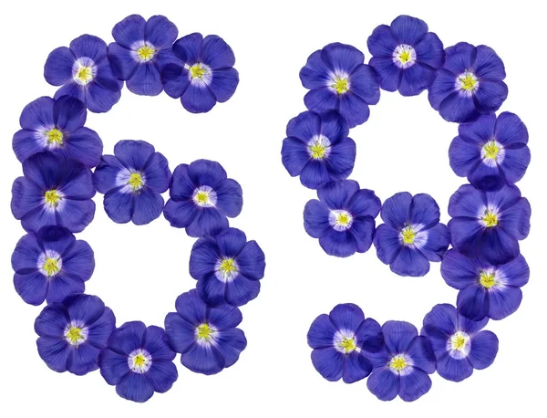 Arabiska siffror 69, sextio nio, från blå blommor av lin, isolat — Stockfoto