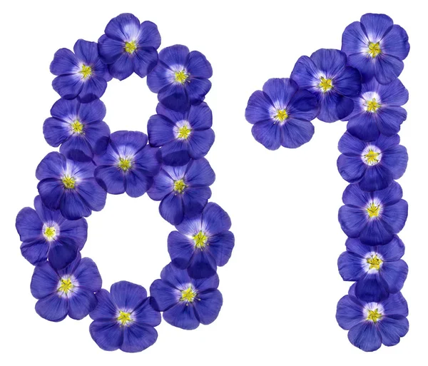 Arabic numeral 81, eighty one, from blue flowers of flax, isolat — Stock Photo, Image