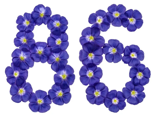 Arabisch cijfer 86, tachtig zes, uit blauwe bloemen van vlas, isolat — Stockfoto