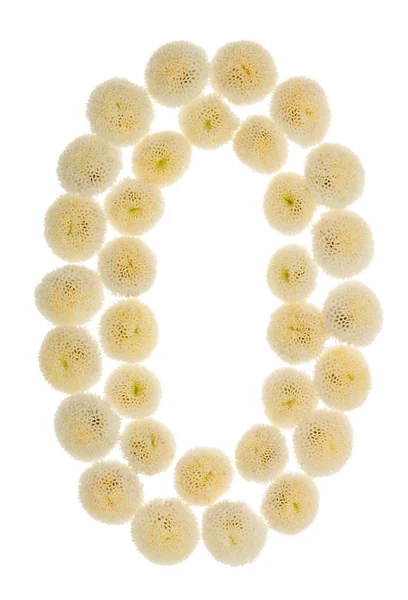 Arabic numeral 0, zero, from cream flowers of chrysanthemum, iso — Stock Photo, Image