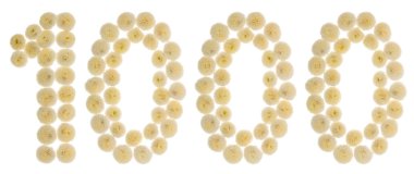 Arapça rakamı 1000, 1000, chrysan krem çiçek üzerinden