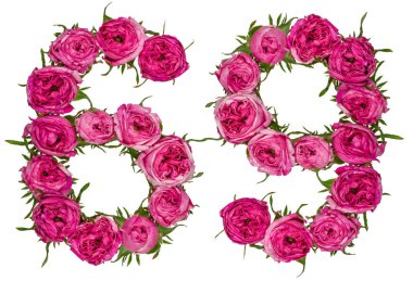 Arapça sayı 69, Altmış dokuz, gül, kırmızı çiçekler dan izole