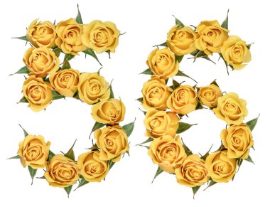 Arapça rakamı 56, elli altı, sarı çiçek gül, Isola üzerinden