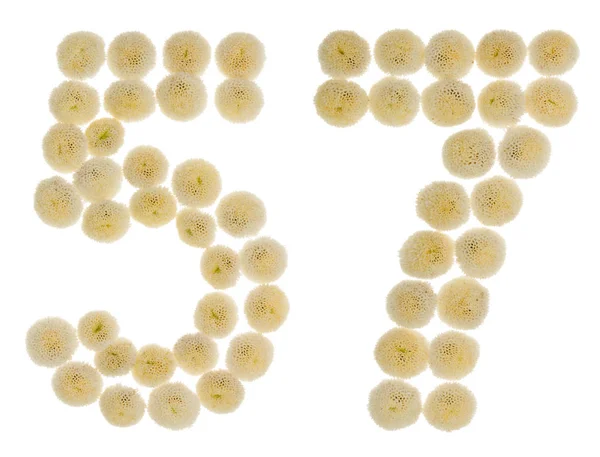 Números arábigos 57, cincuenta y siete, de flores de crema de crisantel —  Fotos de Stock