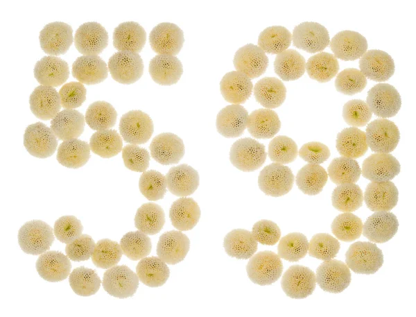 Arabic numeral 59, fifty nine, from cream flowers of chrysanthem