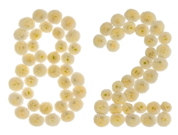 Arabská číslice 82, osmdesát dva, od smetany květů chrysanthem — Stock fotografie
