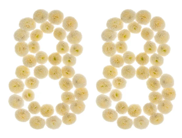 Número arábigo 88, ochenta y ocho, de flores de crema de crisantén — Foto de Stock