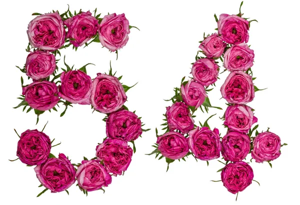 Izolovat arabskou číslicí 54, padesát čtyři, z červené květy, růže — Stock fotografie