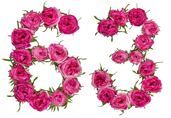 Arabská číslice 63, šedesát tři, z červené květy růže, izolace membrána tvoří — Stock fotografie