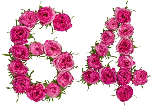 Izolovat arabské číslo 64, šedesát čtyři, z červené květy, růže — Stock fotografie